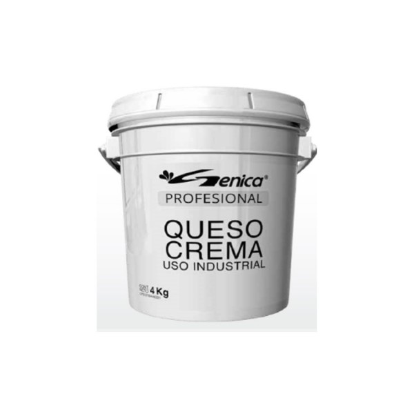 DALVI QUESO CREMA GALON (4kgrs) BULTO
DE 4und